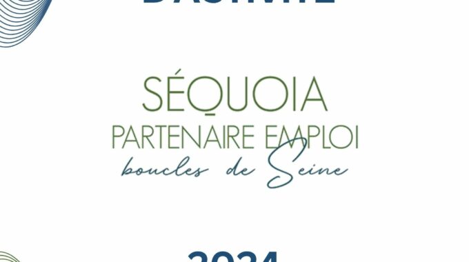 Illustration Du Rapport Activité 2024 Sur L’insertion Professionnelle Dans Les Yvelines