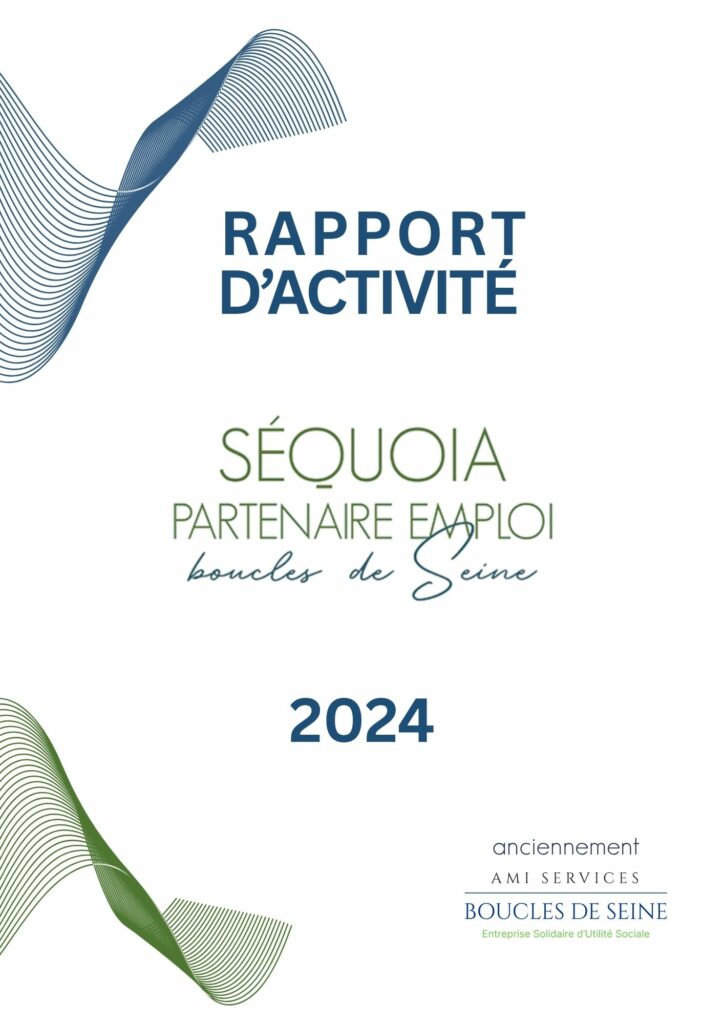 Illustration du rapport activité 2024 sur l’insertion professionnelle dans les Yvelines